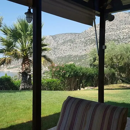 Apollon Αλυκή